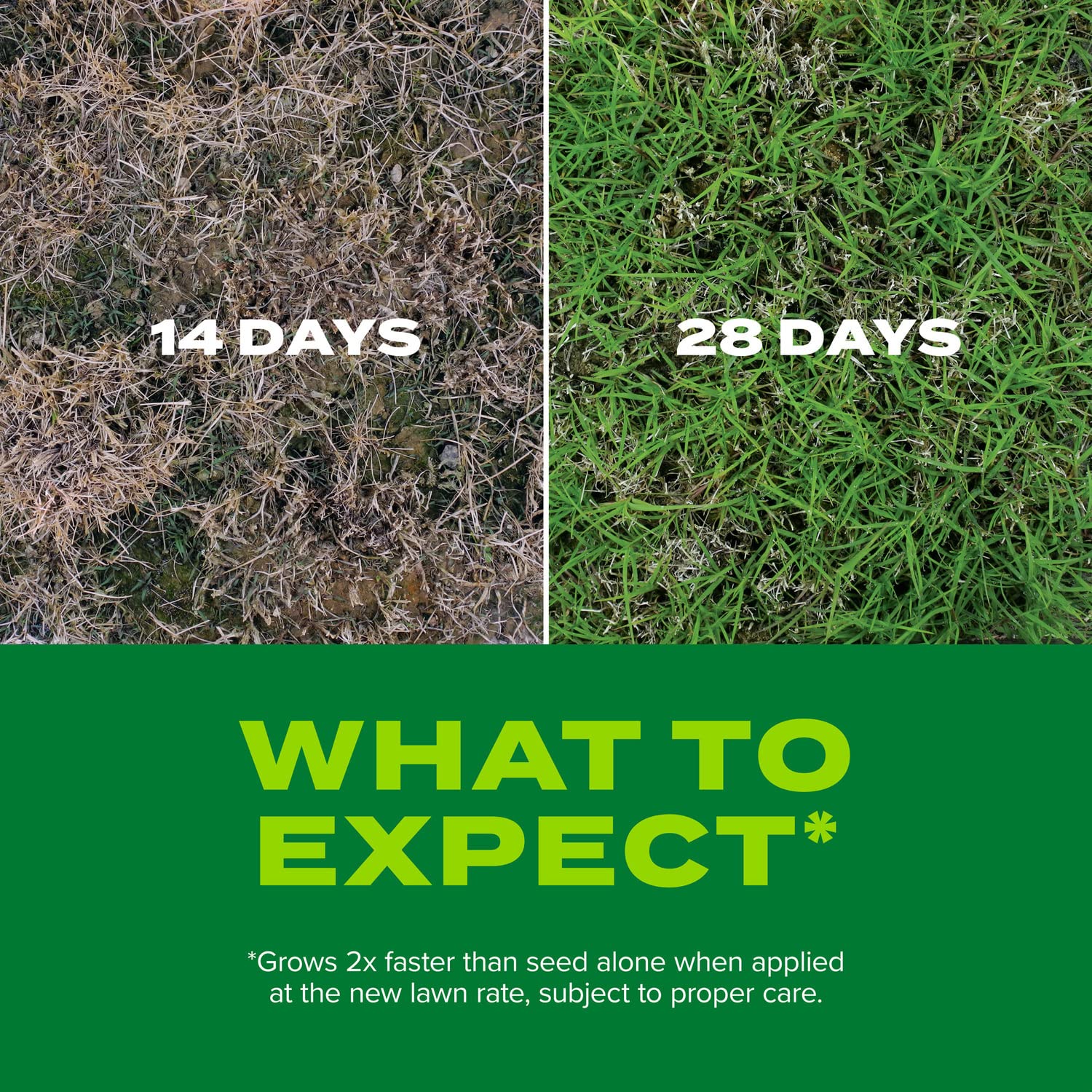 Scotts overseeding coverage 5000 sq ft demonstrates wide-area lawn renewal.