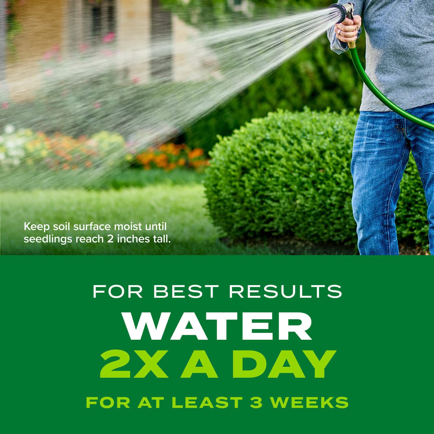 Scotts spring application at 70-90°F promotes healthy germination and growth.
