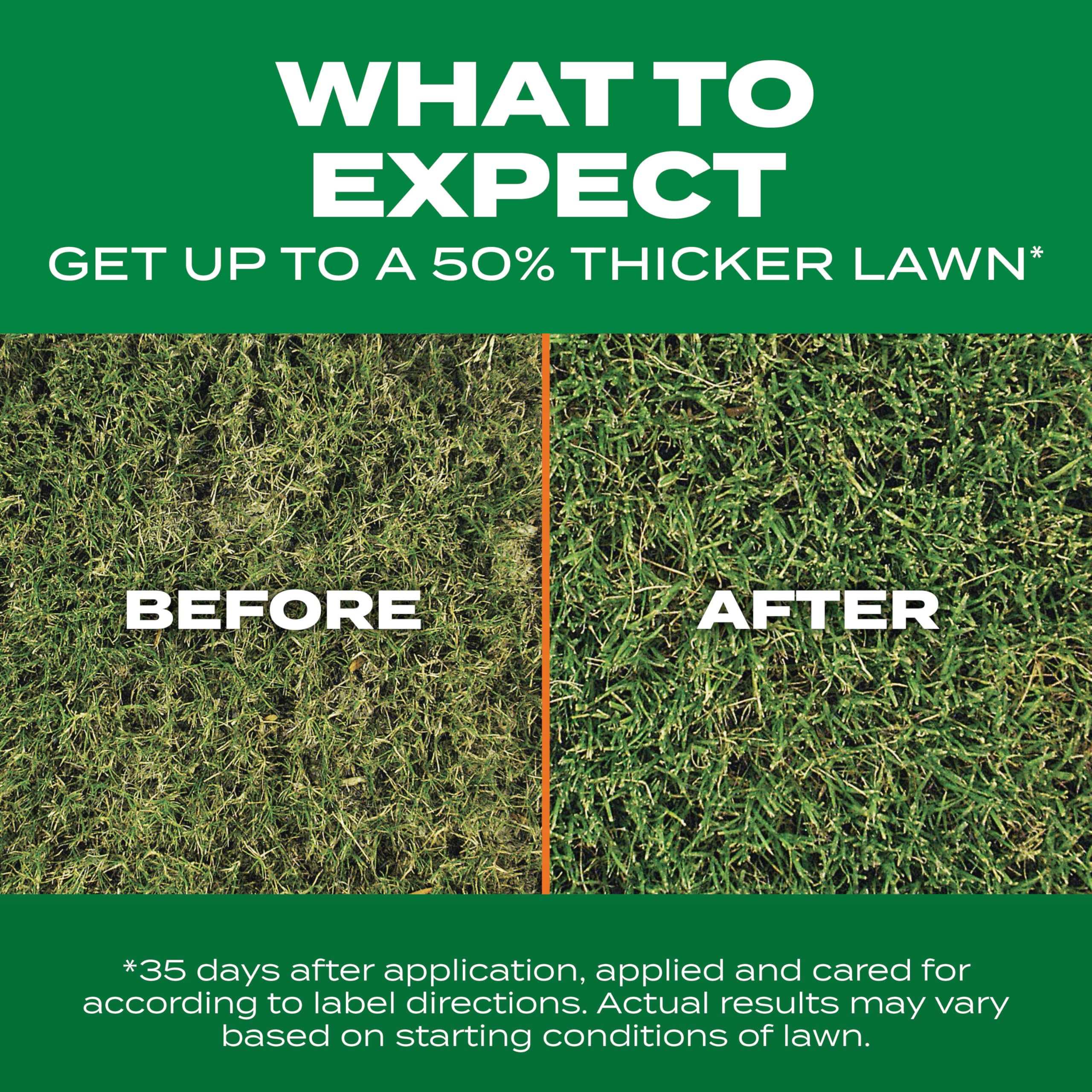 Scotts Thick'R Lawn mowing prep to ready overseed.