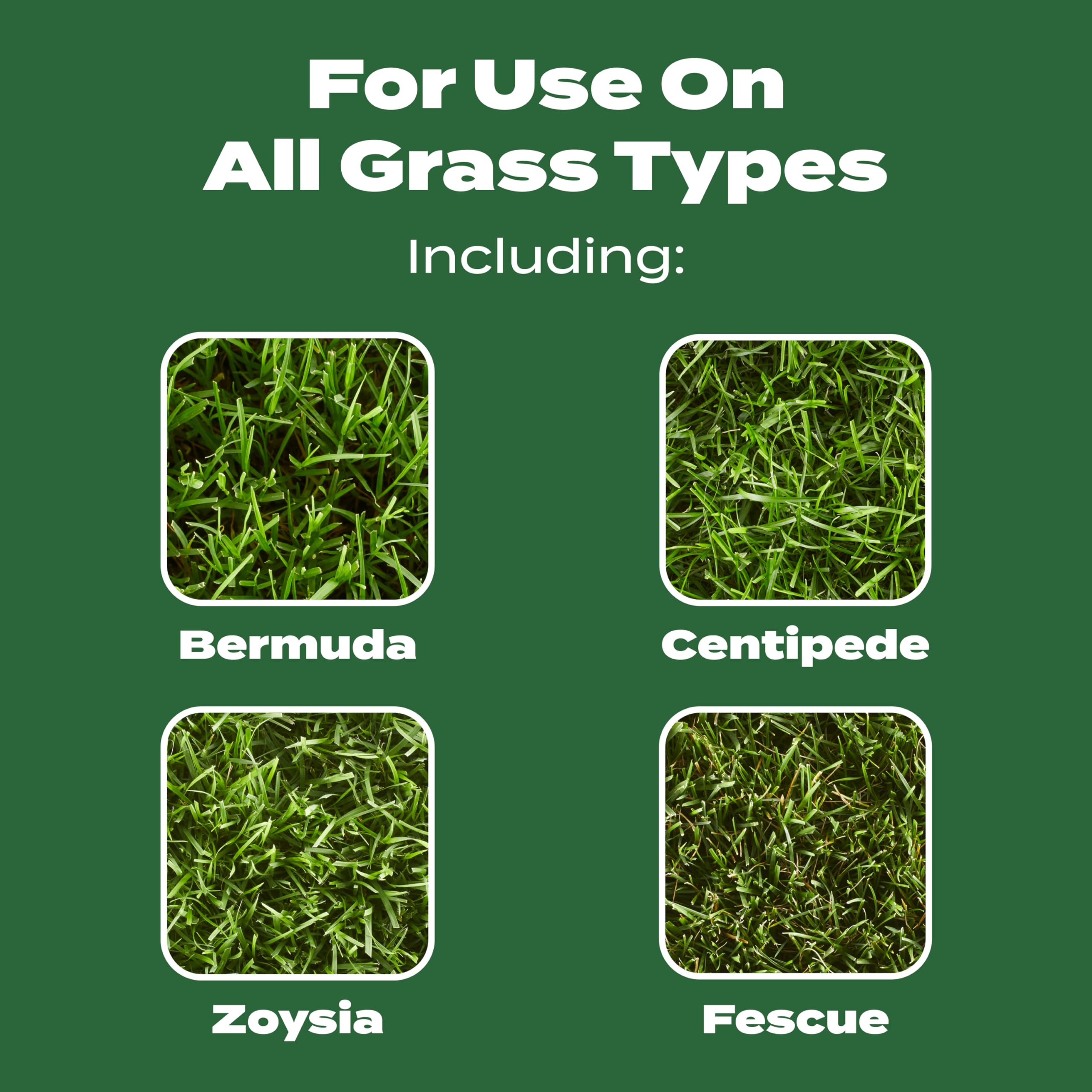 Scotts Turf Builder all grass types—works across varieties.