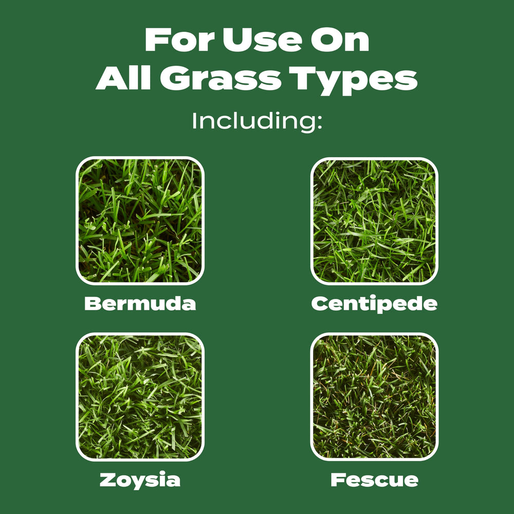 Scotts Turf Builder all grass types—works across varieties.