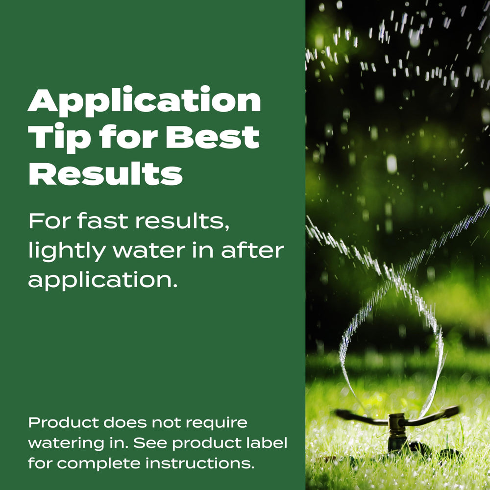 Scotts Turf Builder deep roots growth hint.