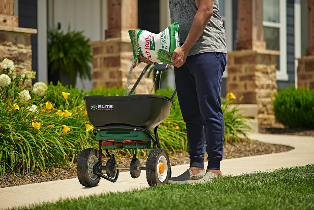 Scotts Turf Builder dry application—works with or without watering.
