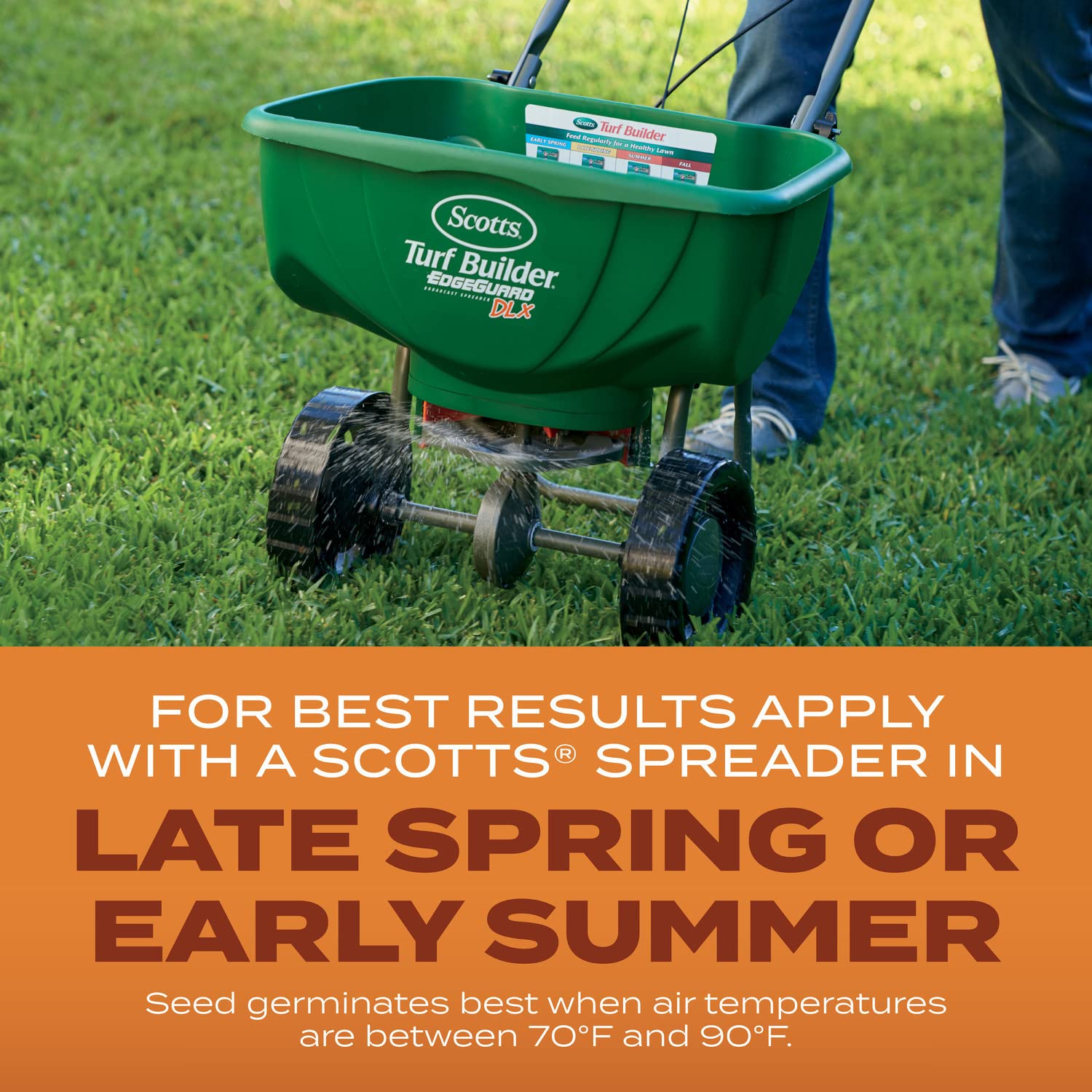 Overseeding a lawn to boost density and curb bare spots.