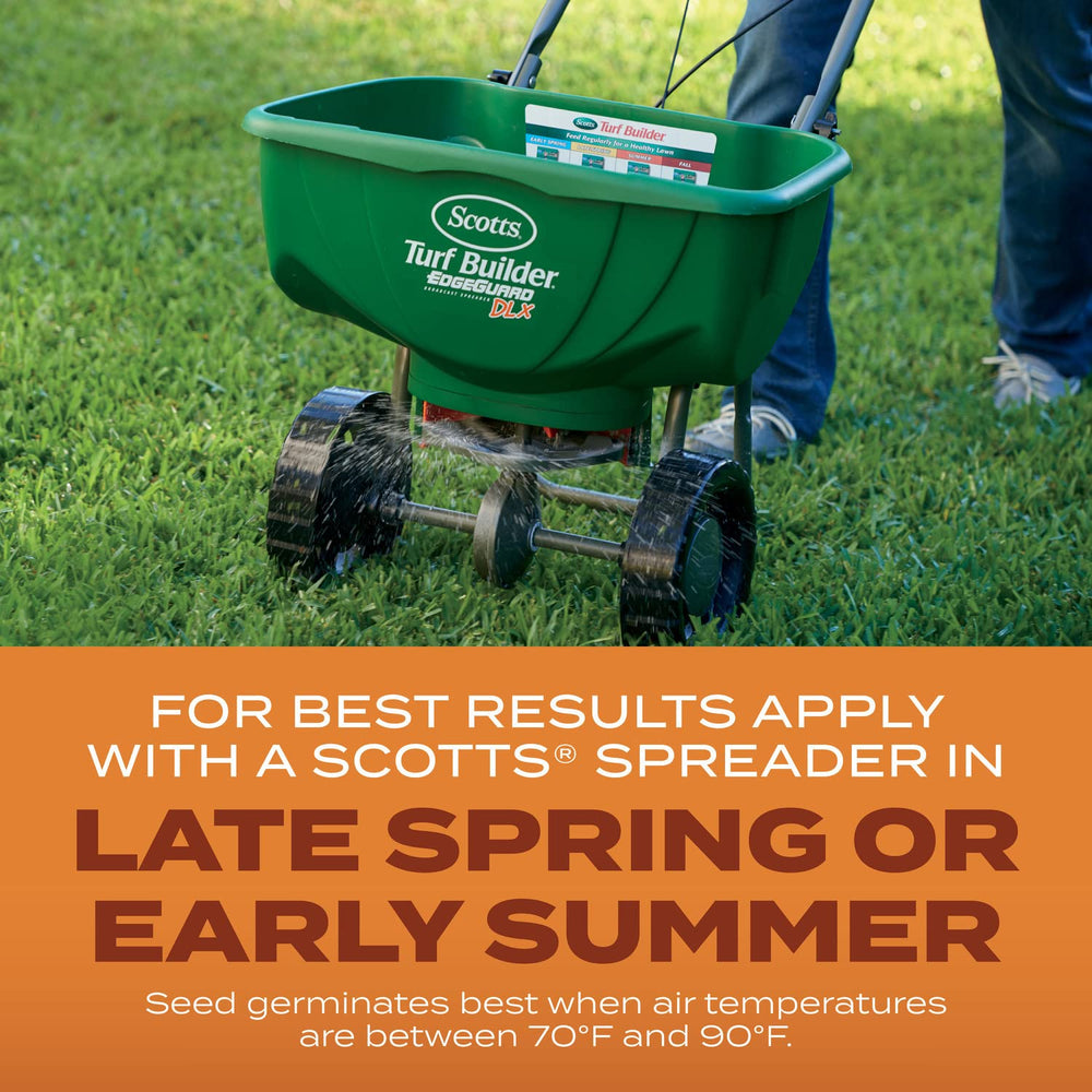 Overseeding a lawn to boost density and curb bare spots.