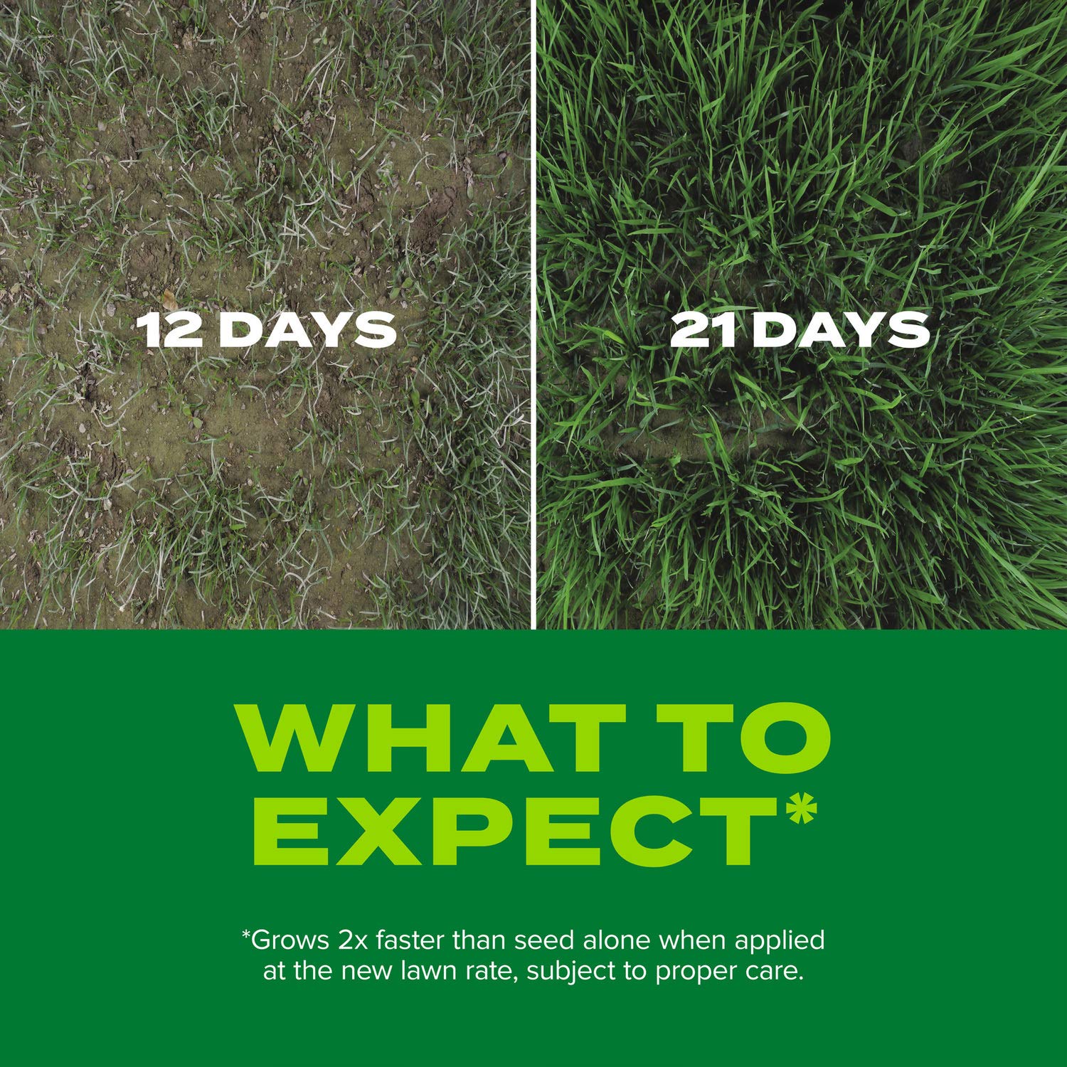 Lawn after using the mix, showing lush green growth