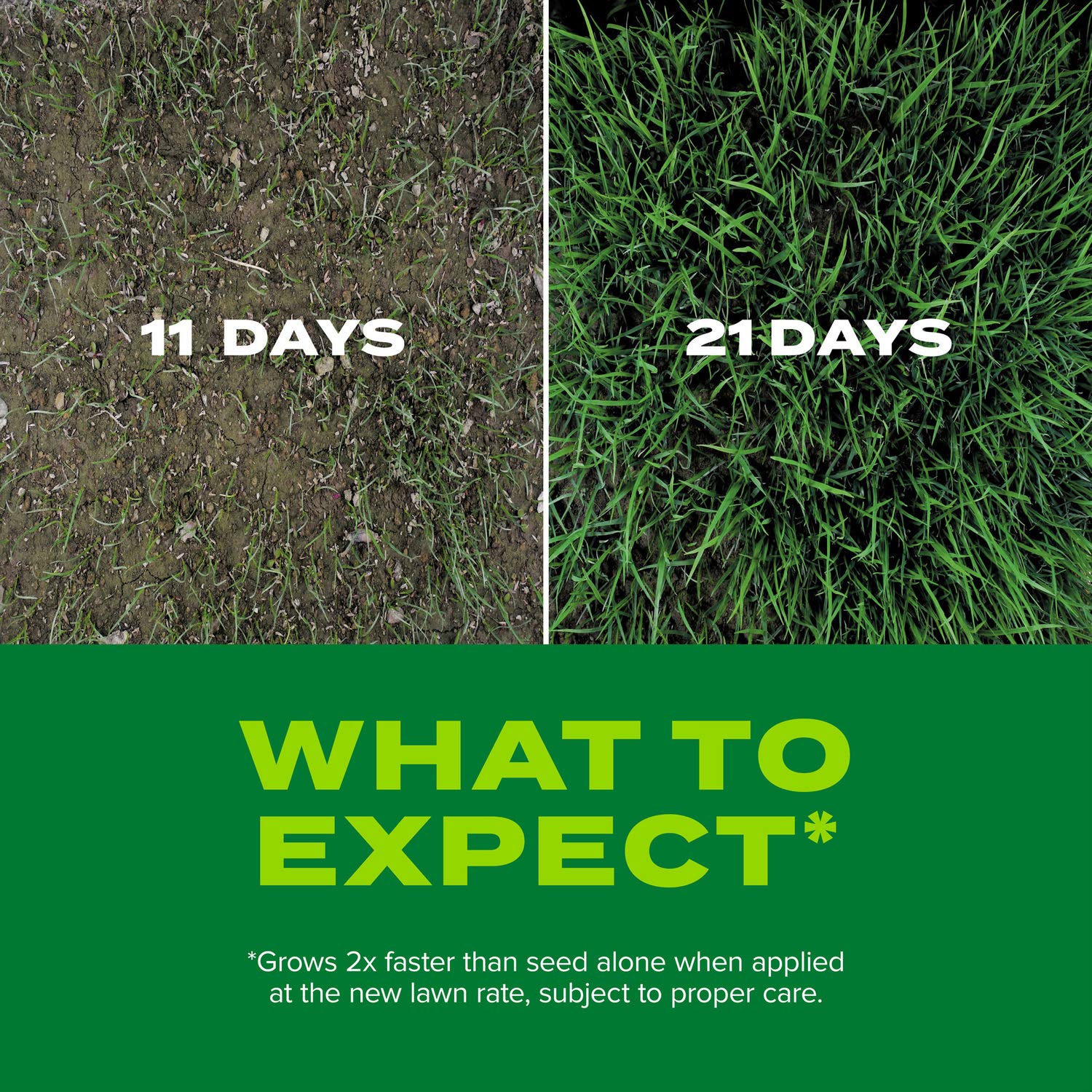 Overseeding with Scotts Rapid Grass to fill bare patches in existing lawns.