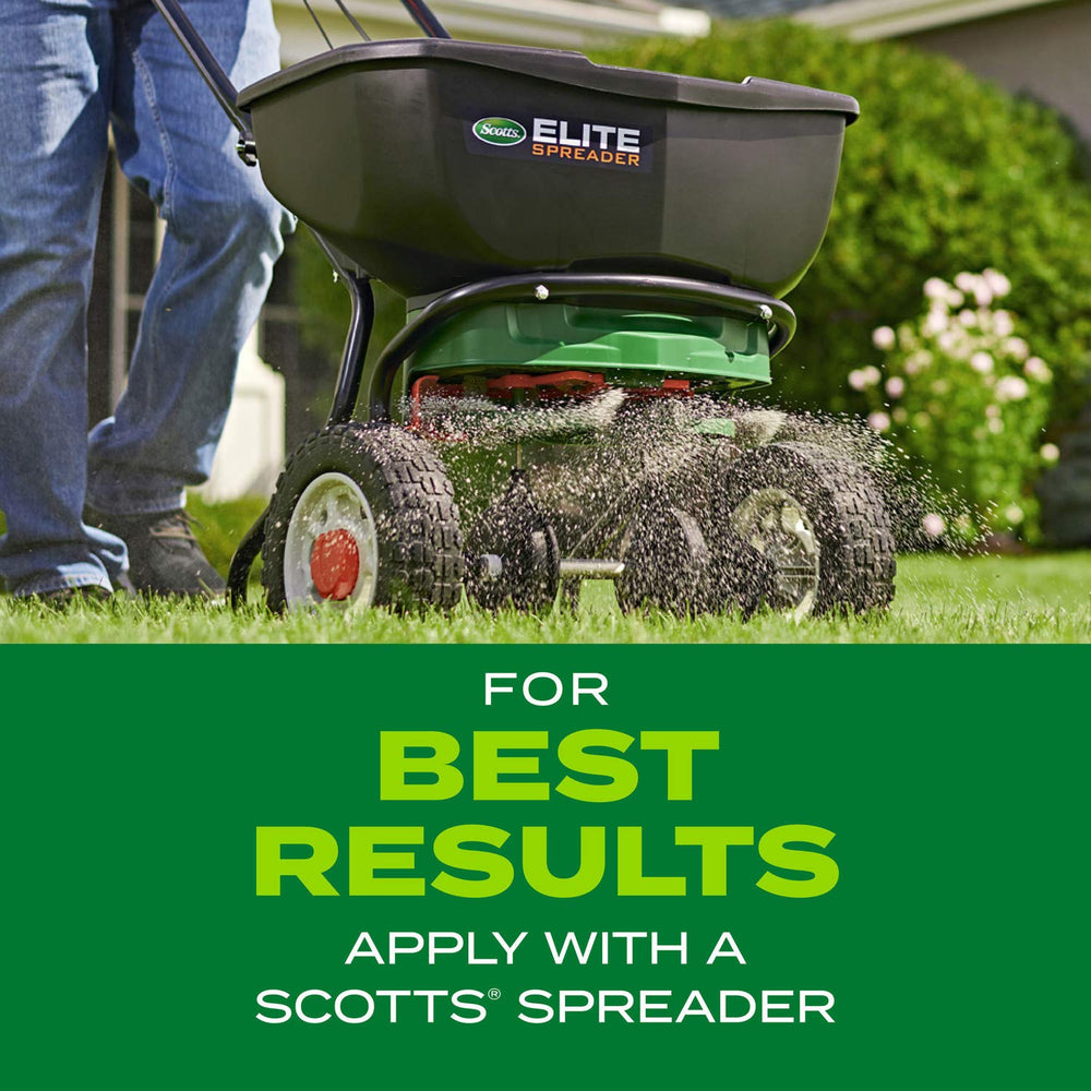 Overseeding a patchy lawn area with Scotts mix