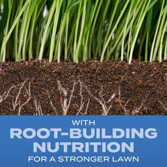 Scotts Turf Builder with Root-Building Nutrition promotes deep root growth