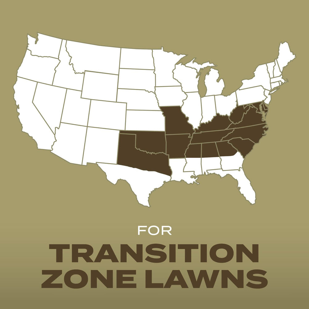 Scotts Turf Builder Southern Gold covers up to 600 sq ft for overseeding