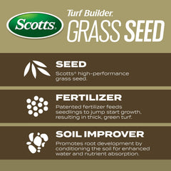Scotts Turf Builder Southern Gold overseeding a lush lawn area