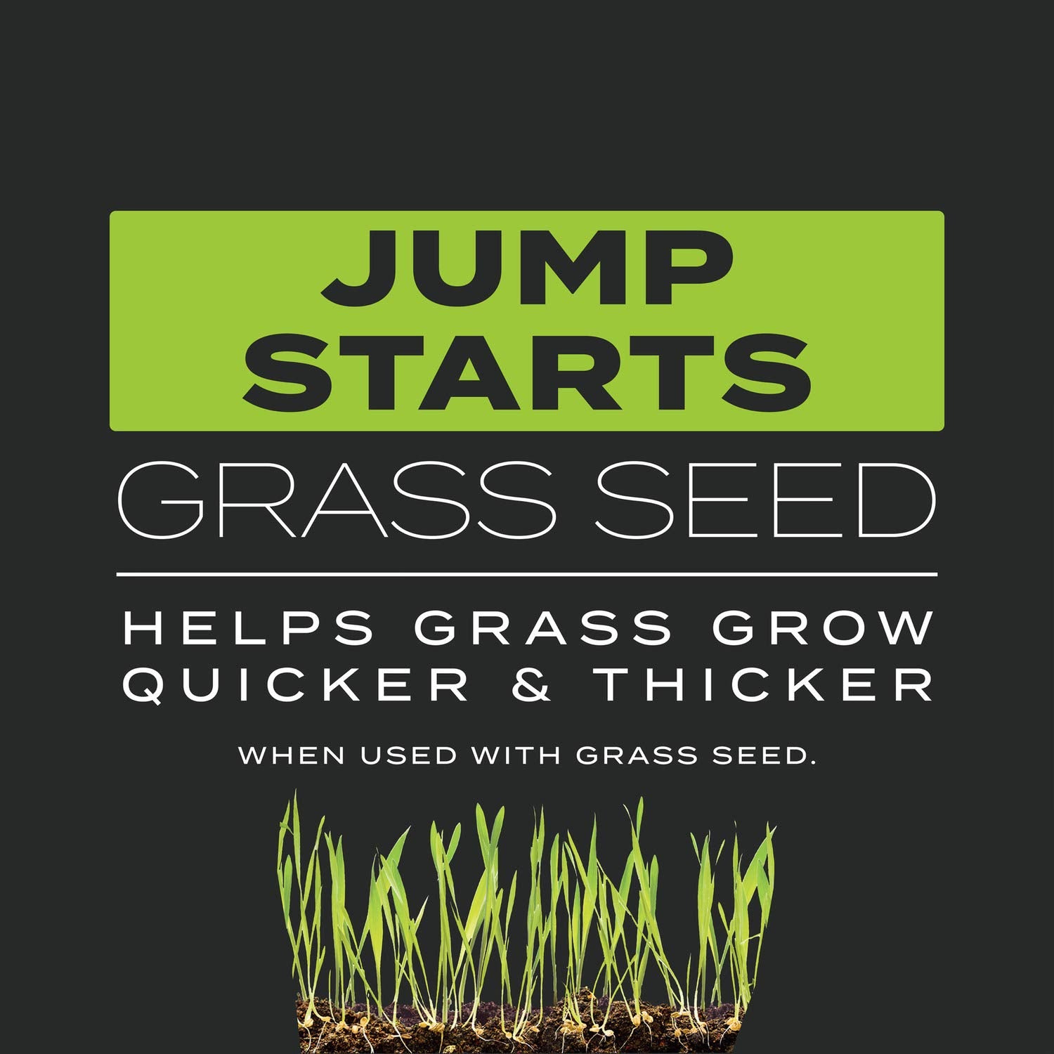 Scotts Turf Builder Triple Action image showing prevention of crabgrass and weeds.
