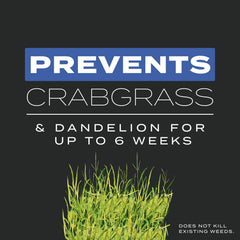 Scotts Turf Builder Triple Action illustration of dandelion prevention in new lawns.