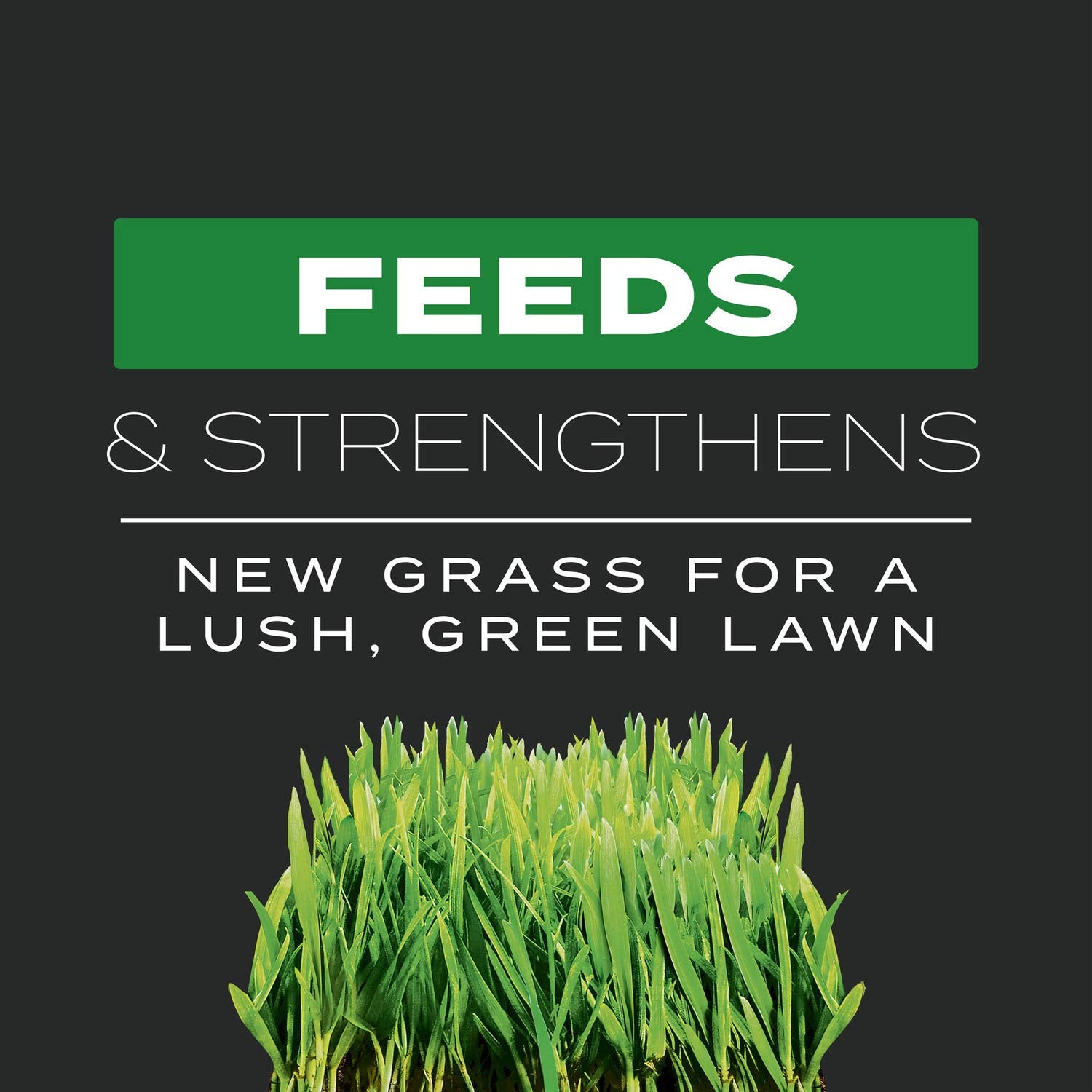 Scotts Turf Builder Triple Action demonstrates a jump-start for new grass growth.