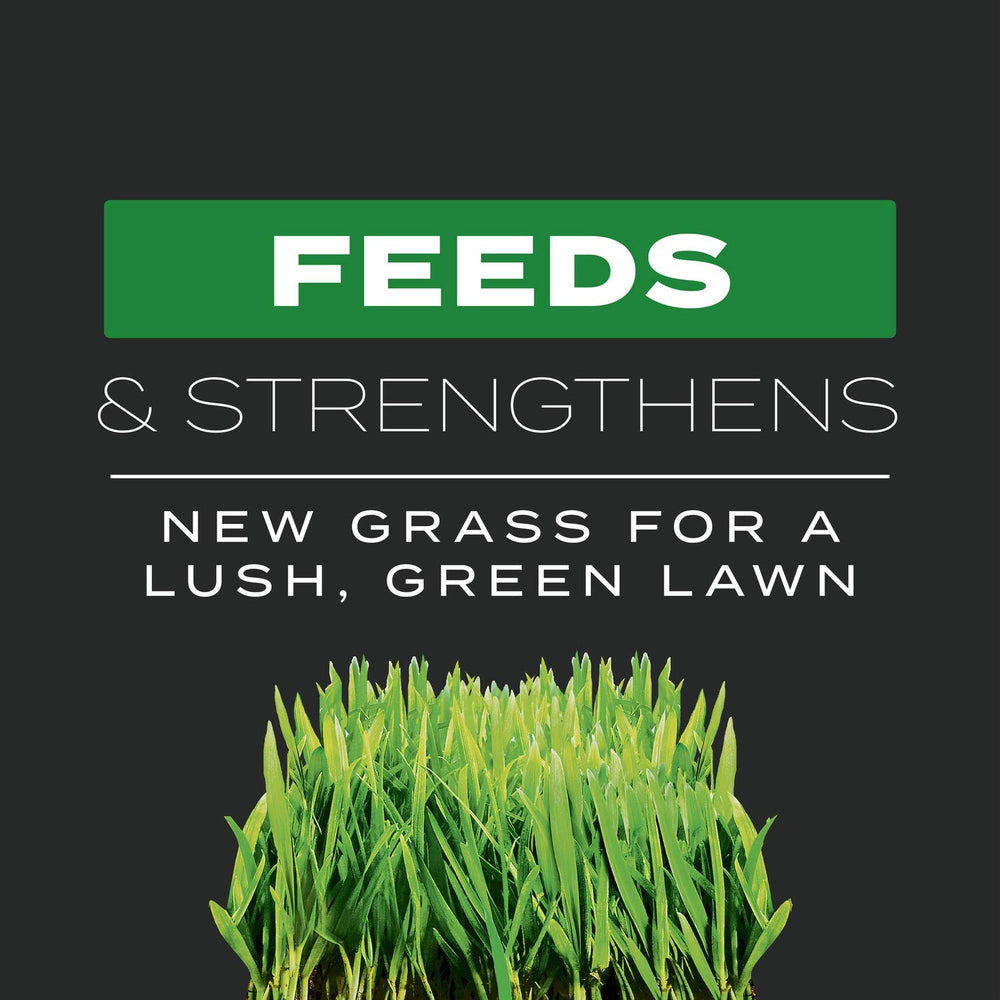 Scotts Turf Builder Triple Action demonstrates a jump-start for new grass growth.