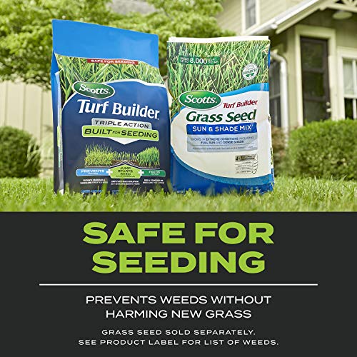 New lawn ready for seeding using Scotts Turf Builder Triple Action.