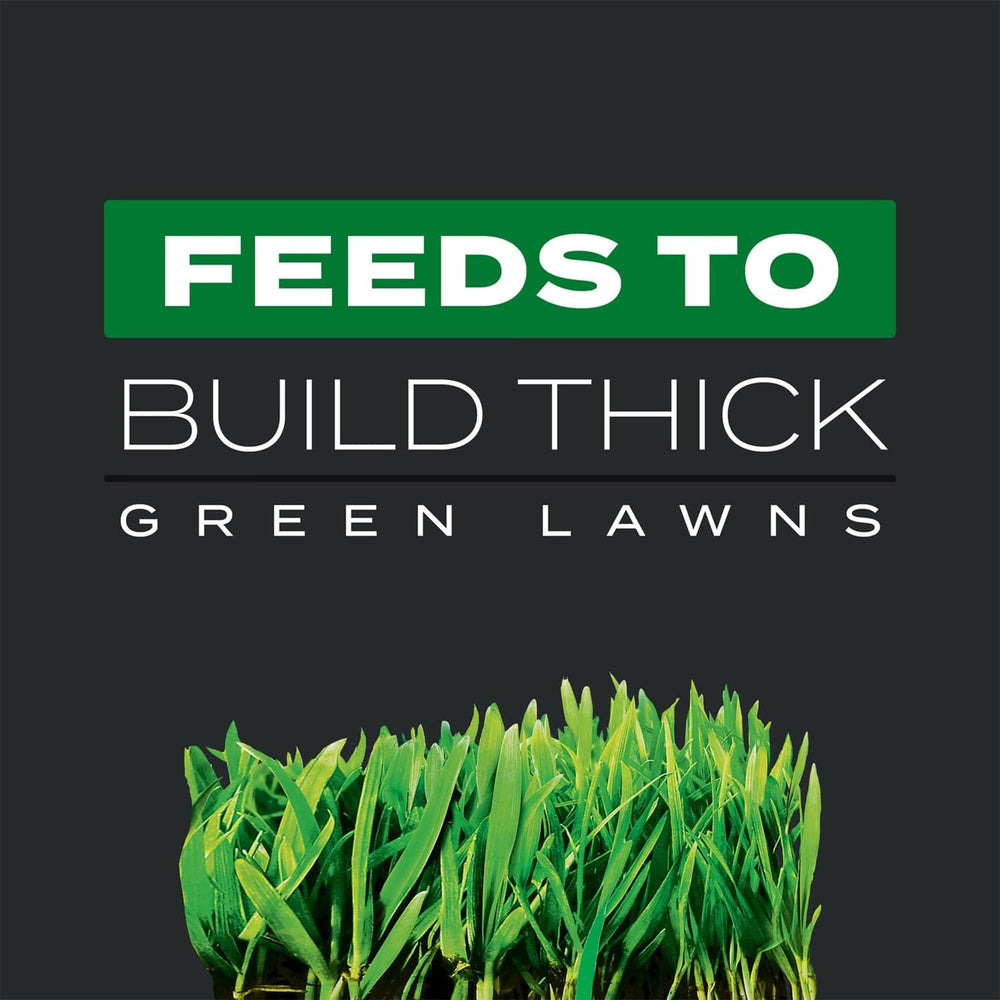 Scotts Turf Builder Triple Action1 targets broadleaf weeds like dandelion and clover.