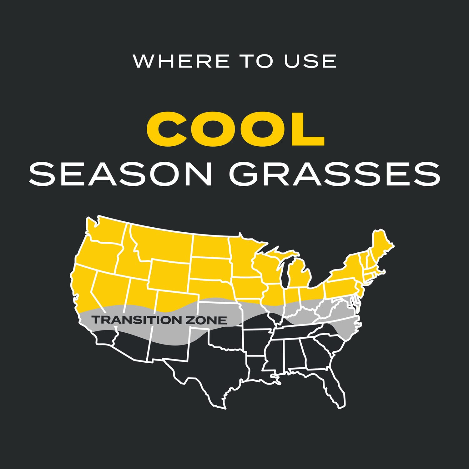 Scotts Turf Builder Triple Action1 crabgrass prevention close-up.