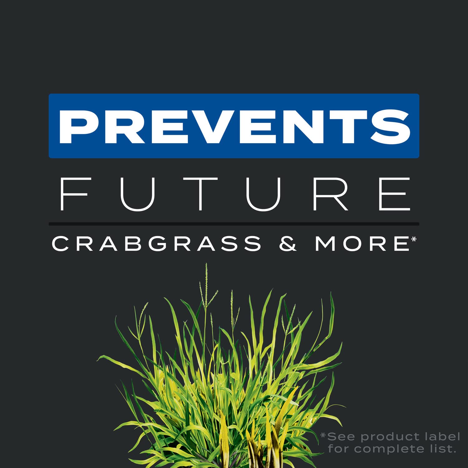 Scotts Turf Builder Triple Action1 lawn fertilizer nourishes roots for stronger color.