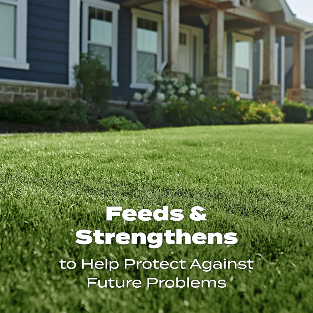 Scotts Turf Builder improves water uptake.