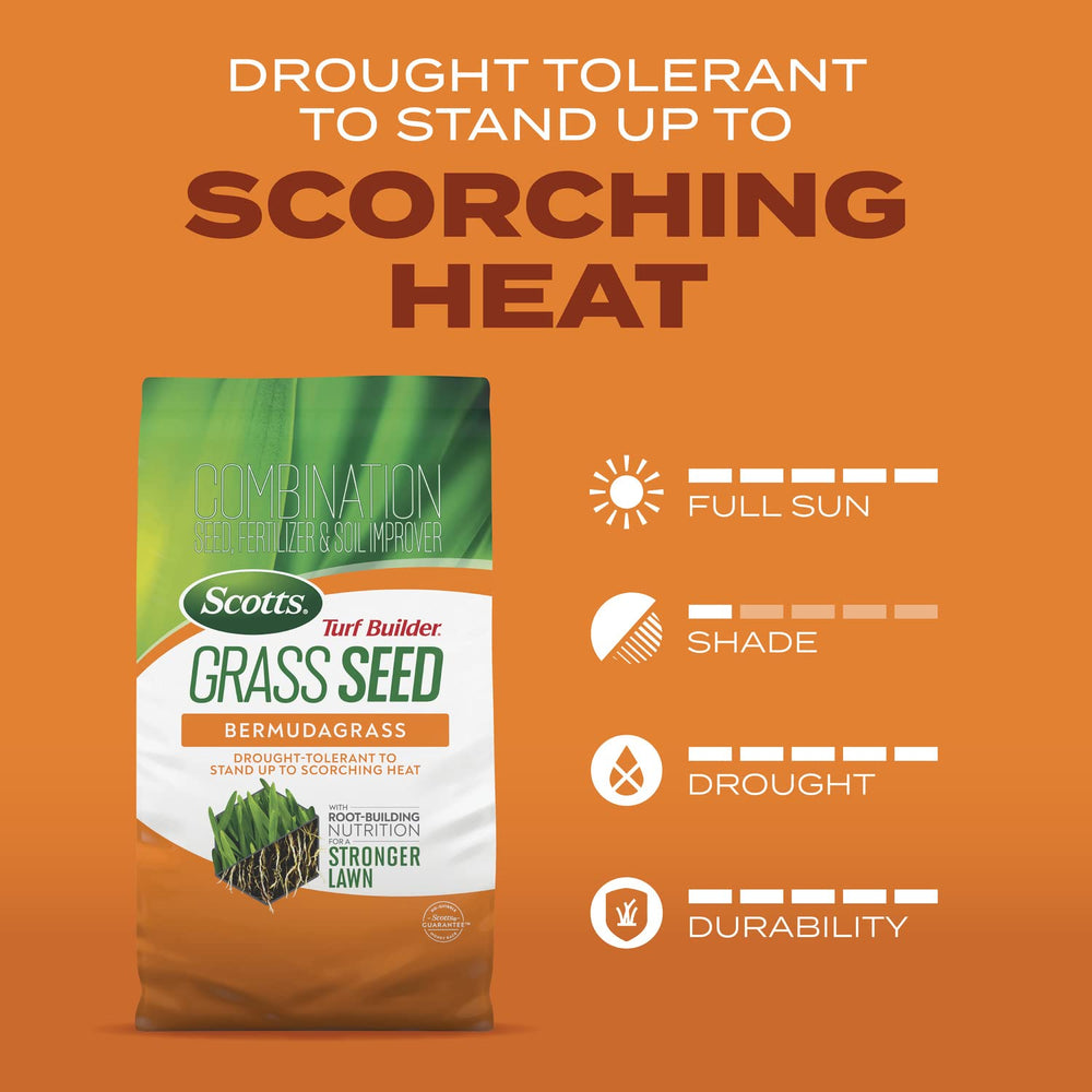 Watering routine to keep soil surface moist during seedling establishment.