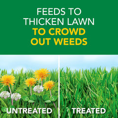 Scotts Turf Builder Weed & Feed5 bag front highlighting weed control and lawn feeding