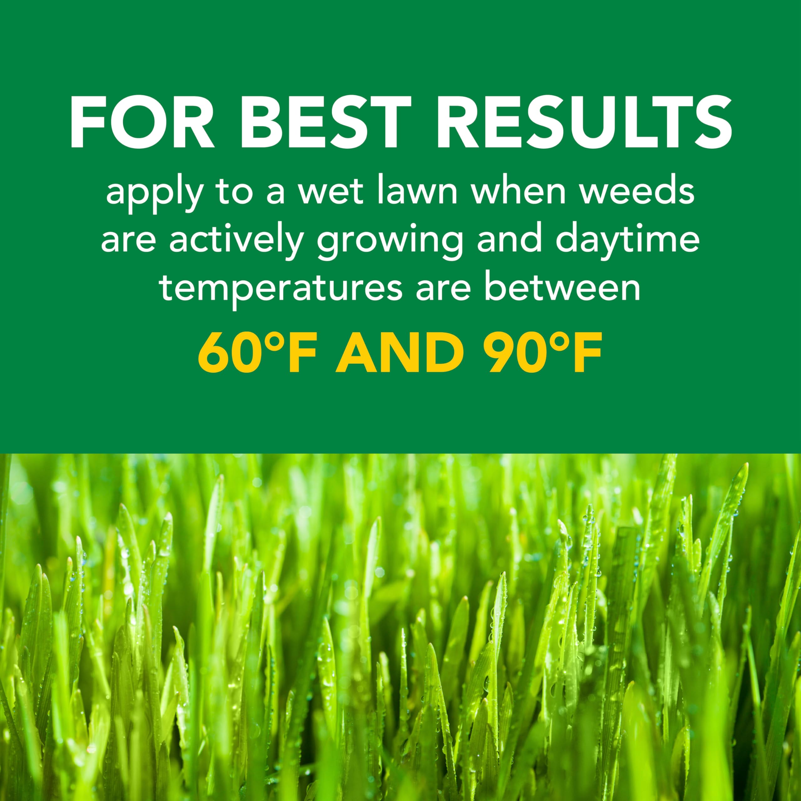 Scotts Turf Builder Weed & Feed5 coverage label shows up to 4,000 sq ft