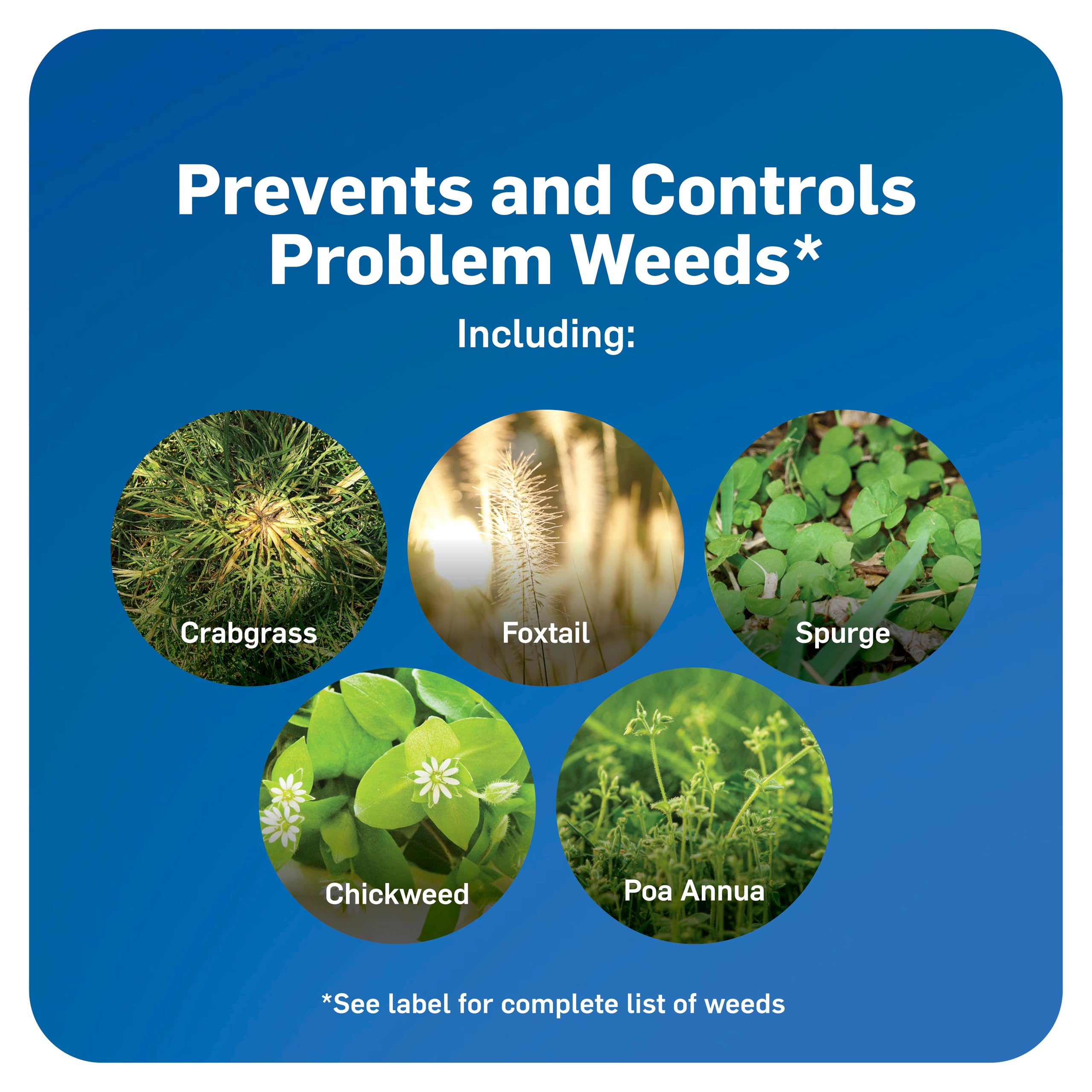 Scotts WeedEx Prevent with Halts used in early spring on all grasses.