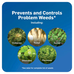 Scotts WeedEx Prevent with Halts used in early spring on all grasses.