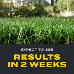 Scotts Turf Builder Triple Action1 wet lawn before application ensures proper adhesion.