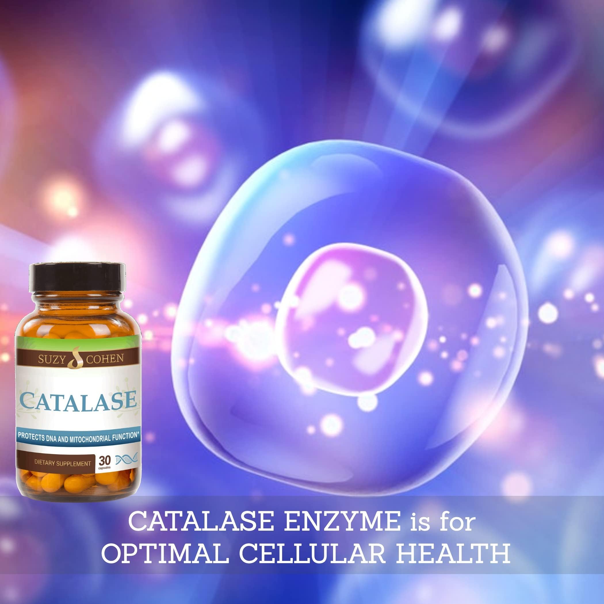 Script Essentials Catalase product shot underscoring a wellness-focused supplement.
