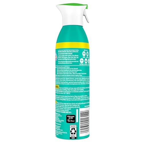 Scrubbing Bubbles Easy Clean foam in 13.58 oz bottle offers freshness.
