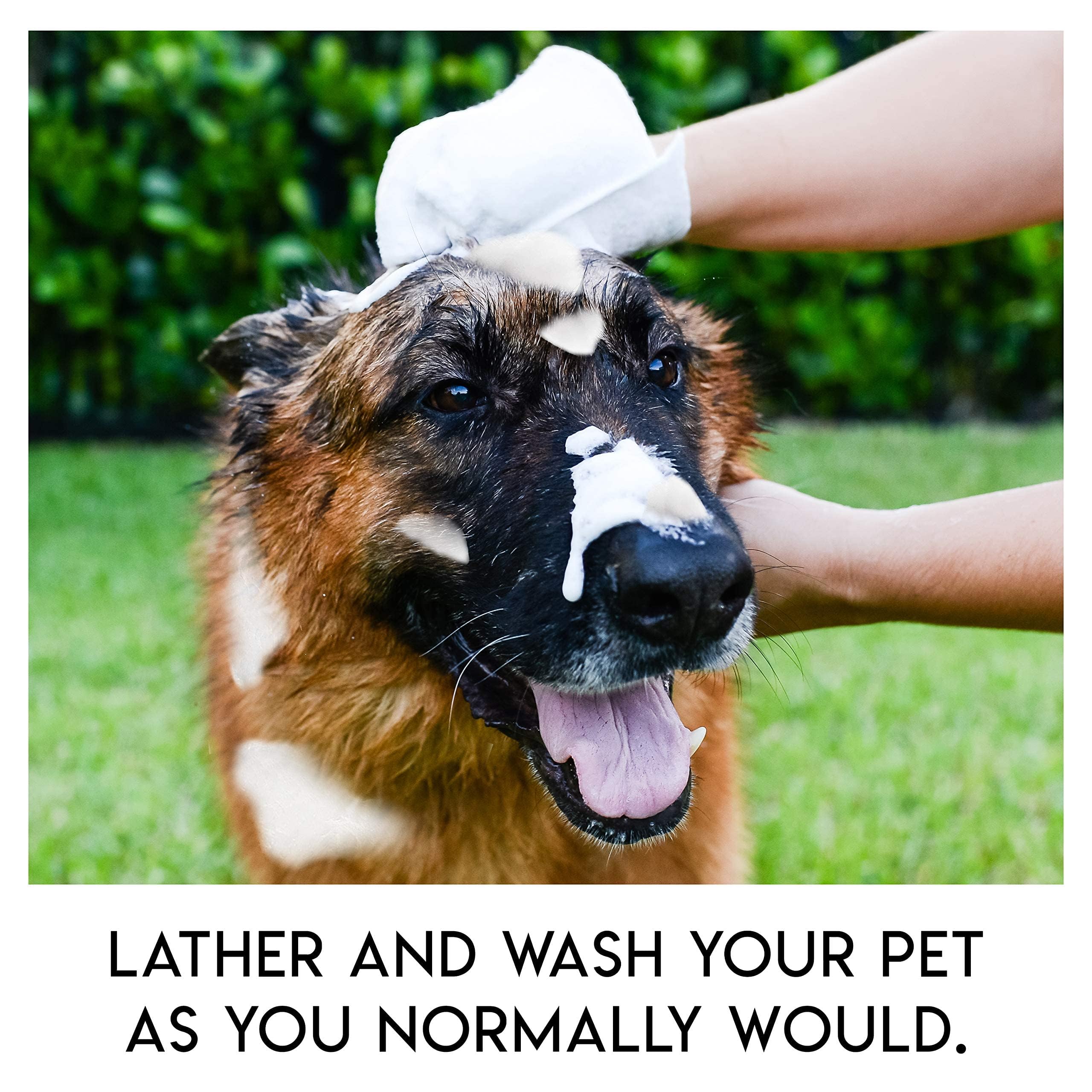 ScrubbyPet outdoor cleanup after hiking or camping for easy pet care