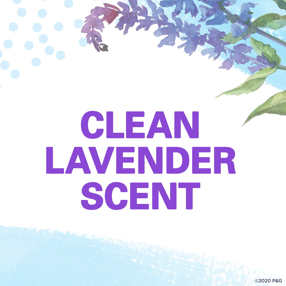 Secret clean lavender scent close-up hints fresh, light fragrance.