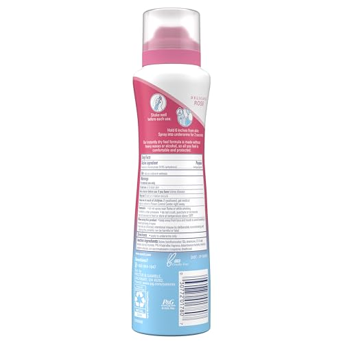 Secret Dry Spray packaging shown as compact and travel-friendly.
