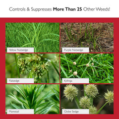 Sedgehammer application on lawn demonstrates post-emergent weed control for turf.