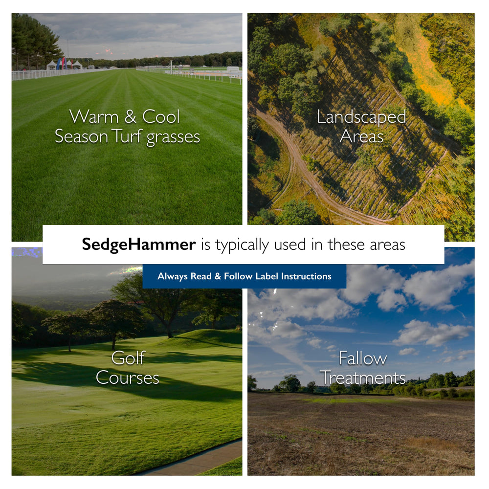 Sedgehammer suppresses green kyllinga in landscape turf.