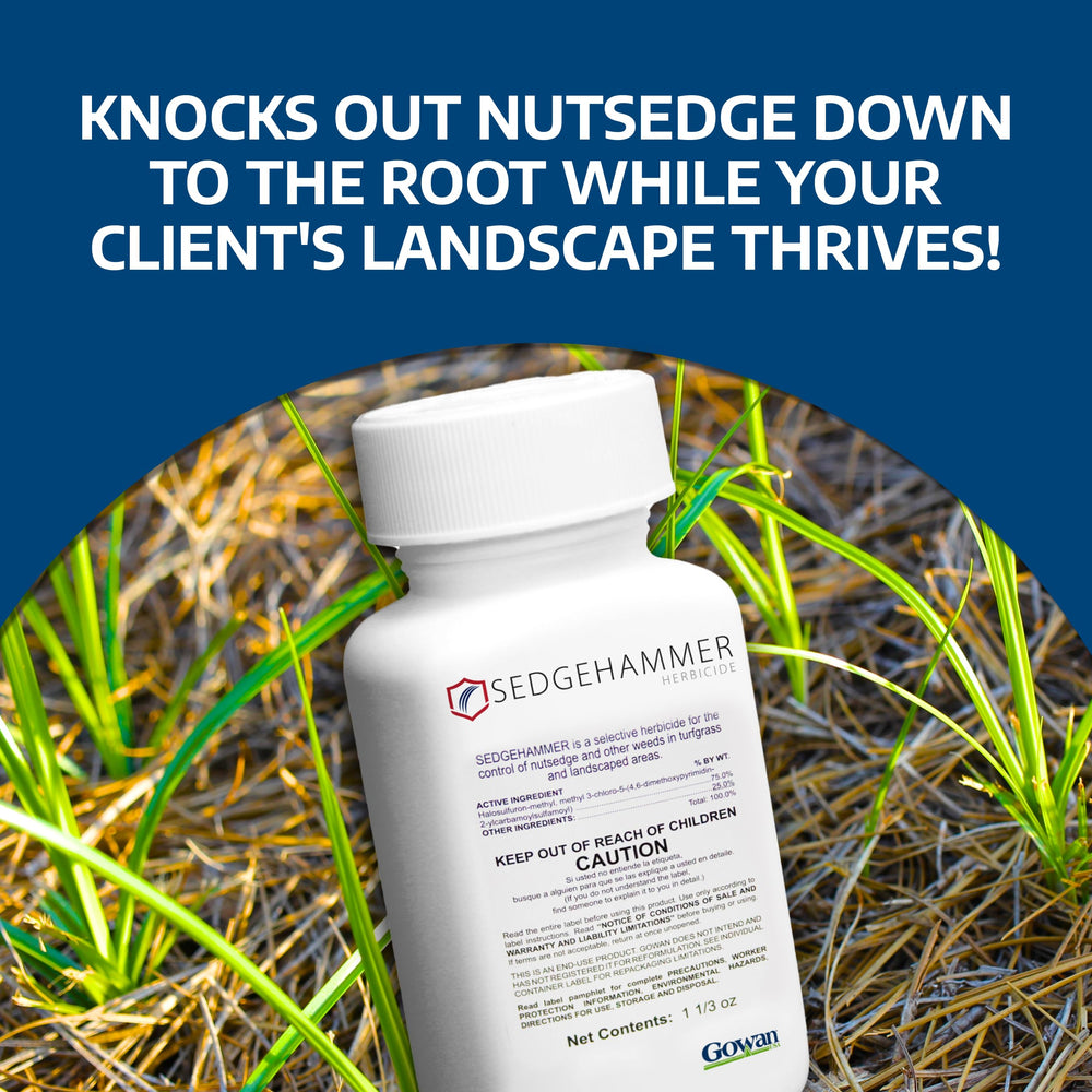 Sedgehammer label close-up with product details for safe lawn weed treatment.
