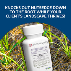 Sedgehammer label close-up with product details for safe lawn weed treatment.