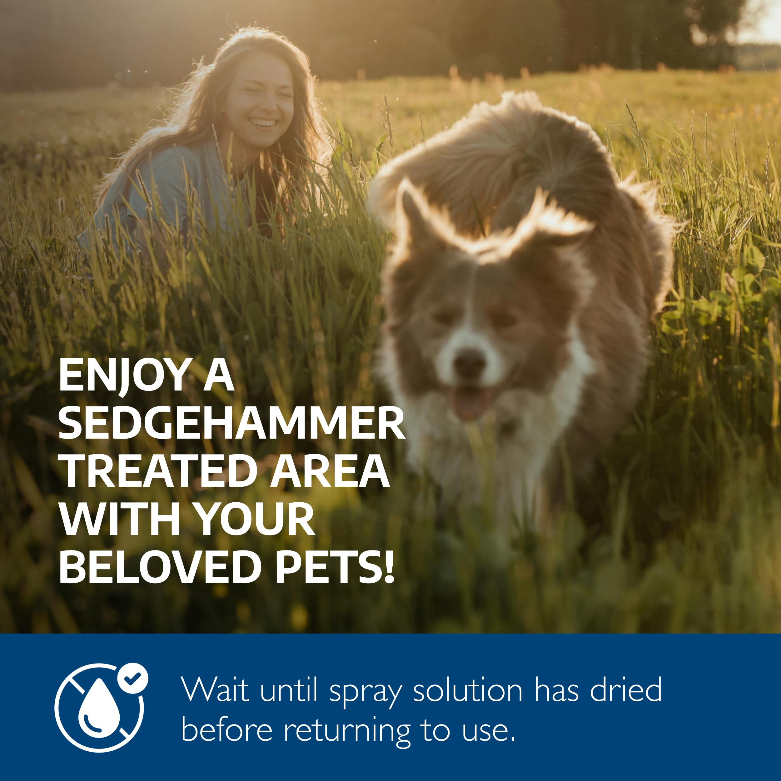 Sedgehammer pet-safe use guidance for lawns and large areas.