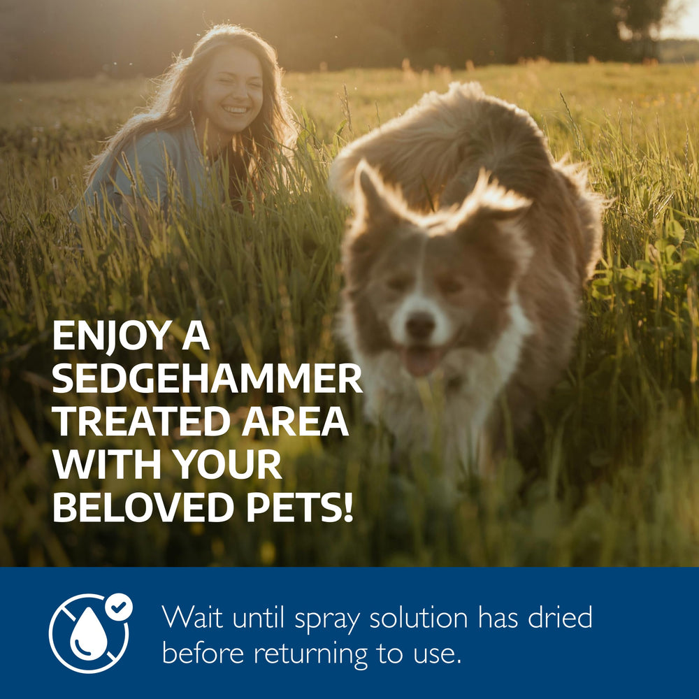 Sedgehammer pet-safe use guidance for lawns and large areas.
