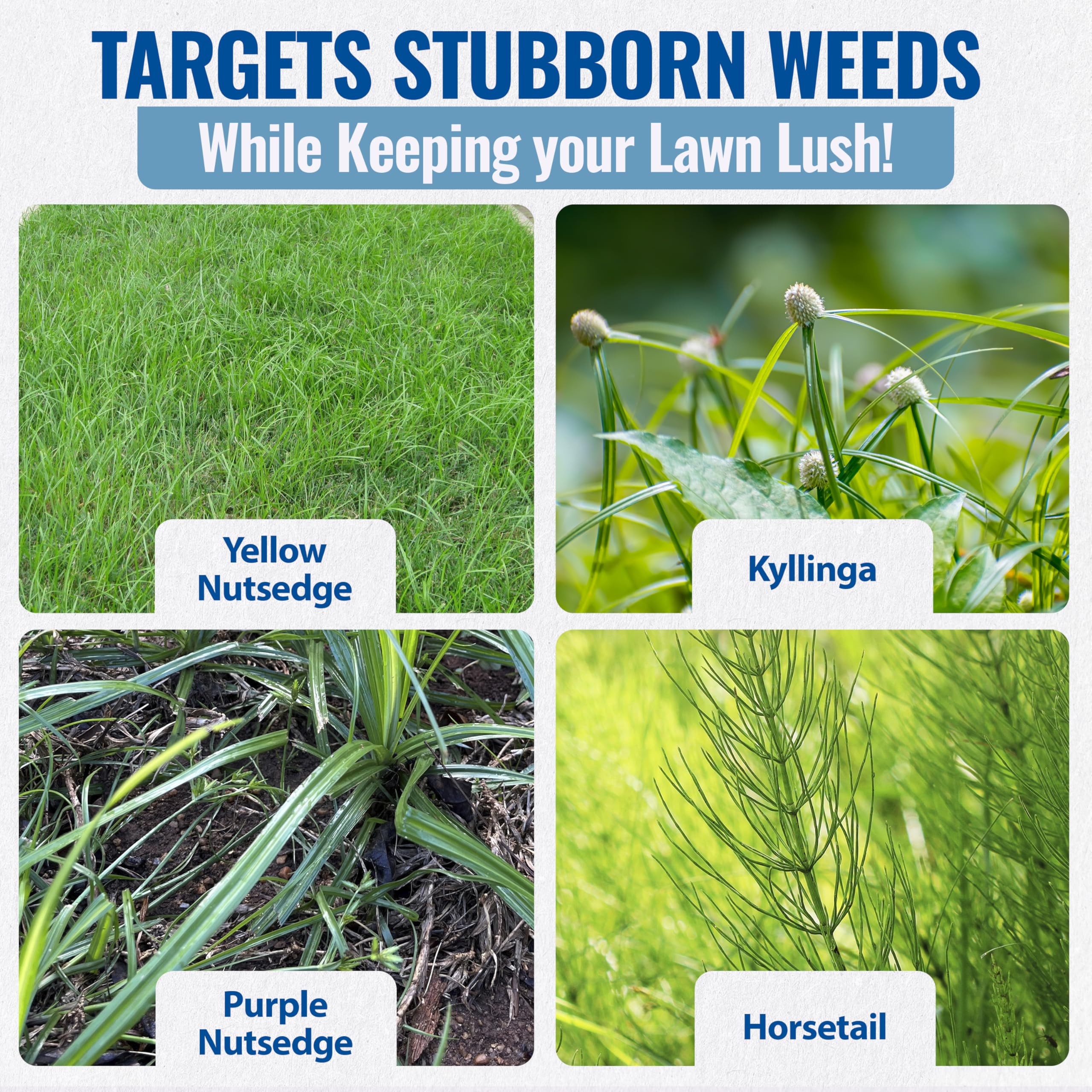 Sedgehammer Plus before-after lawn demonstrates visible weed reduction over seasons.