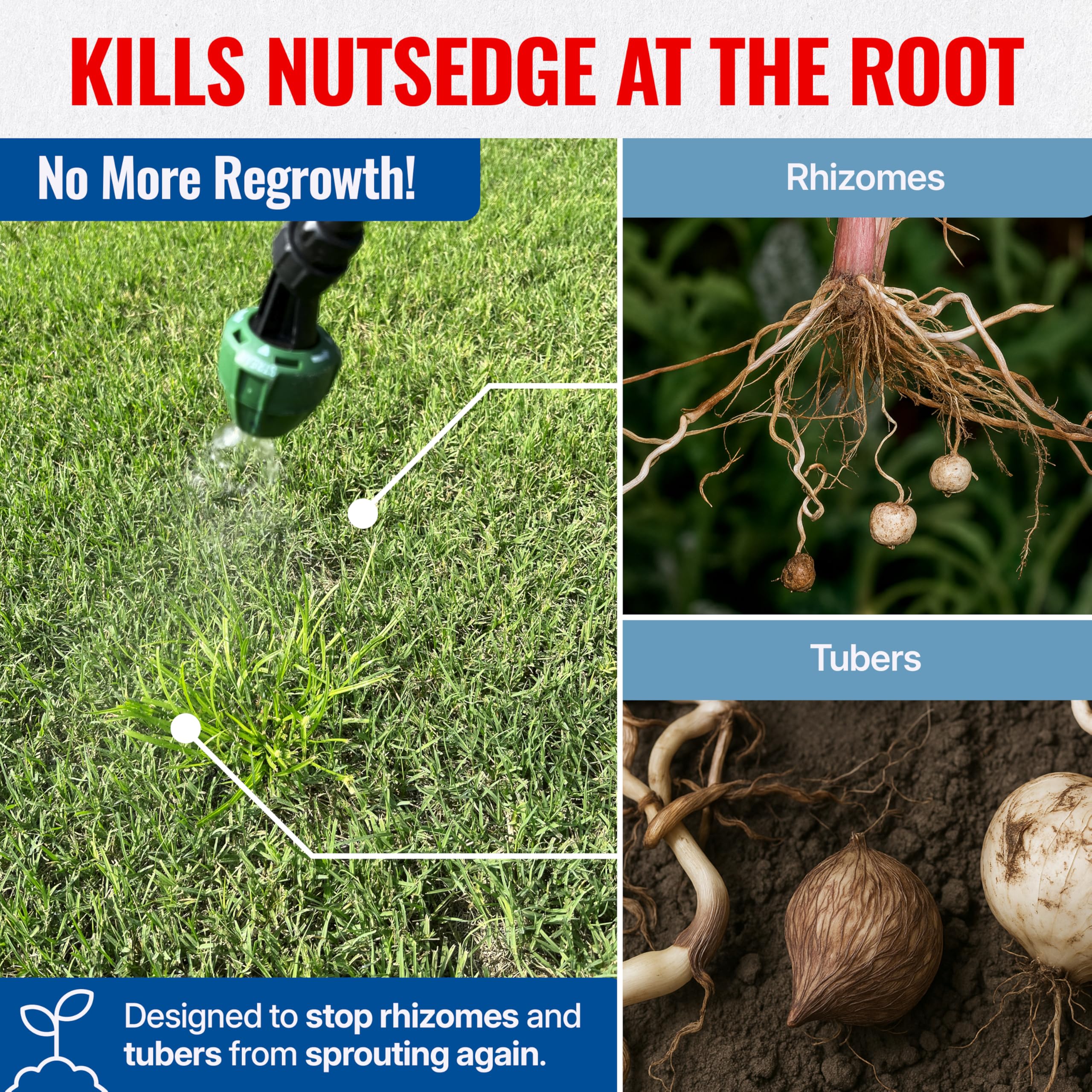 Sedgehammer Plus coverage 1000 sq ft graphic highlights economical weed control area.