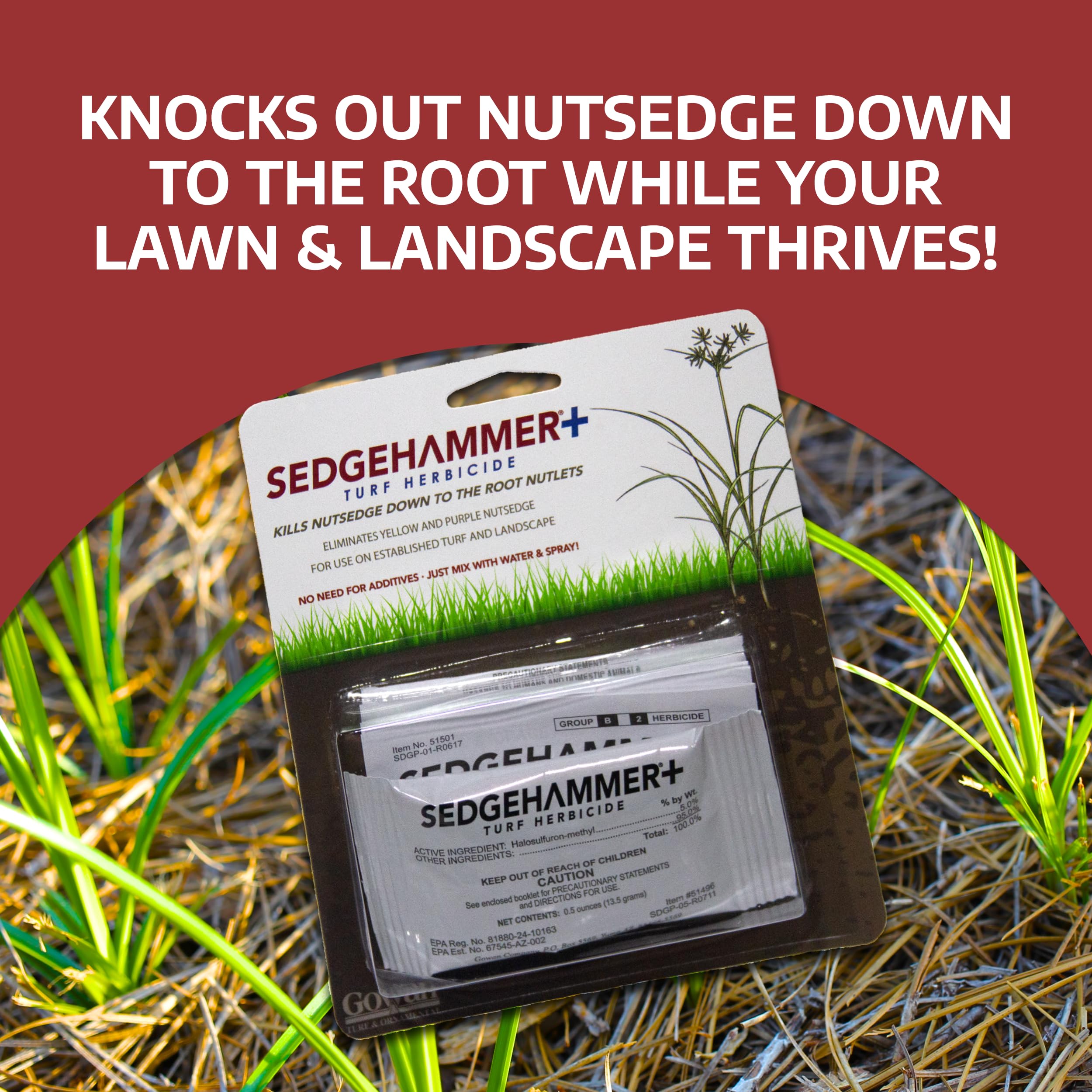 Sedgehammer Plus nutsedge killer in lawn shows effective control with minimal turf impact.