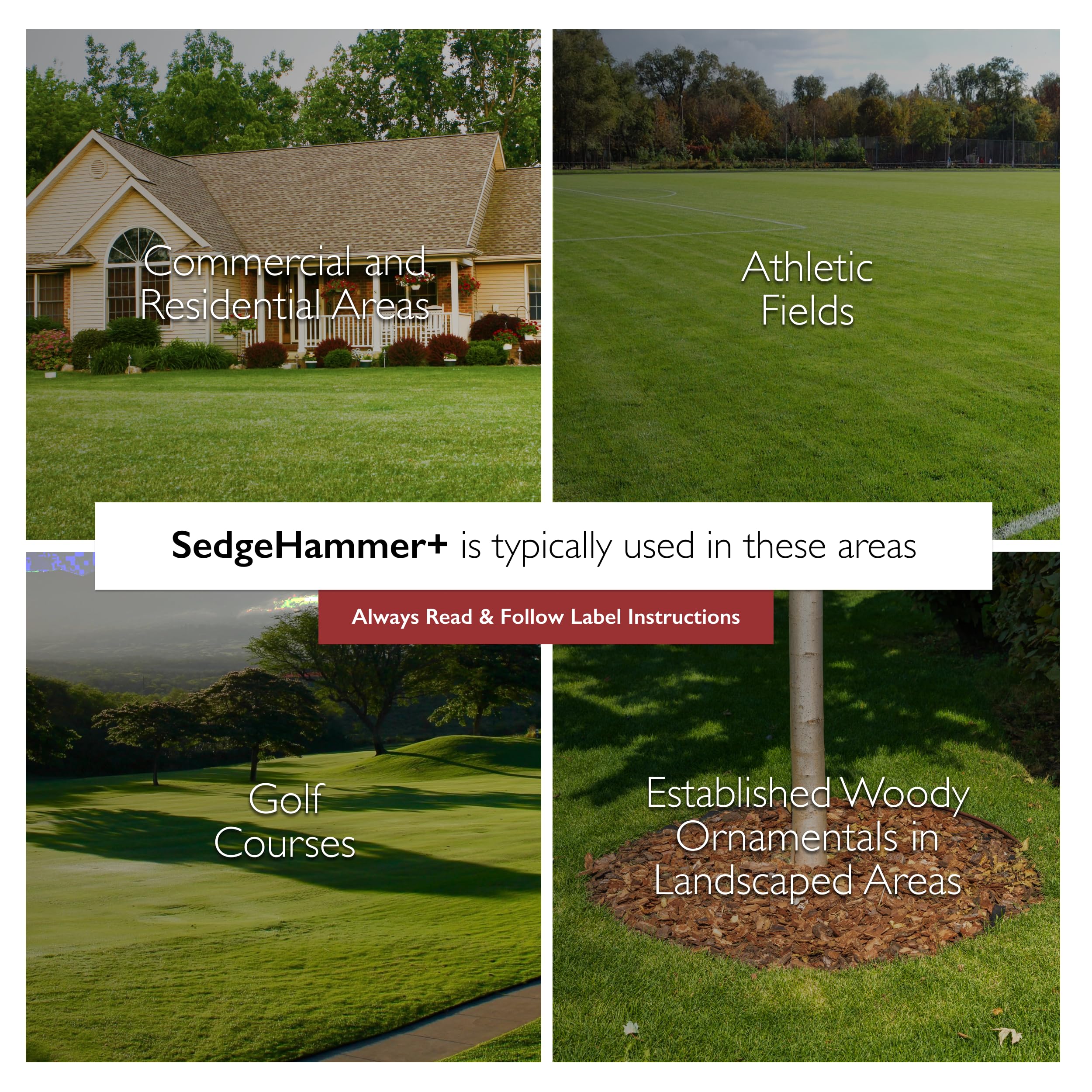 Sedgehammer Plus pet-safe drying stage reinforces safe play time after use.