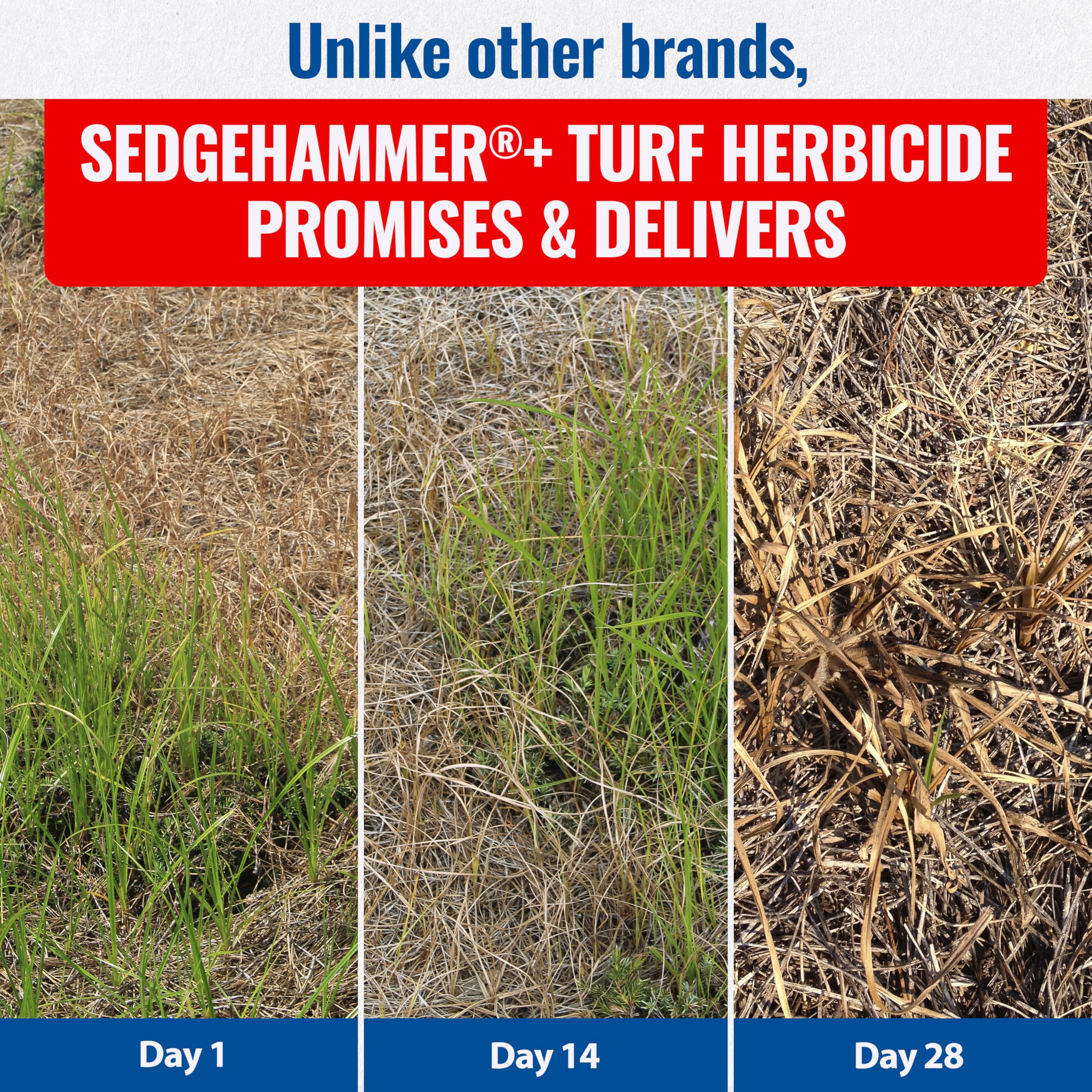Sedgehammer Plus surfactant integration for even weed coverage.