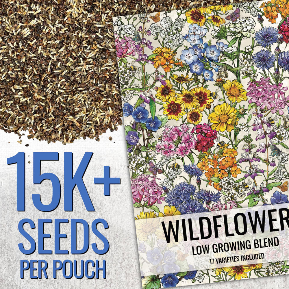 Seed Needs 17-varieties wildflower mix image highlights diverse blooms for a cheerful garden.