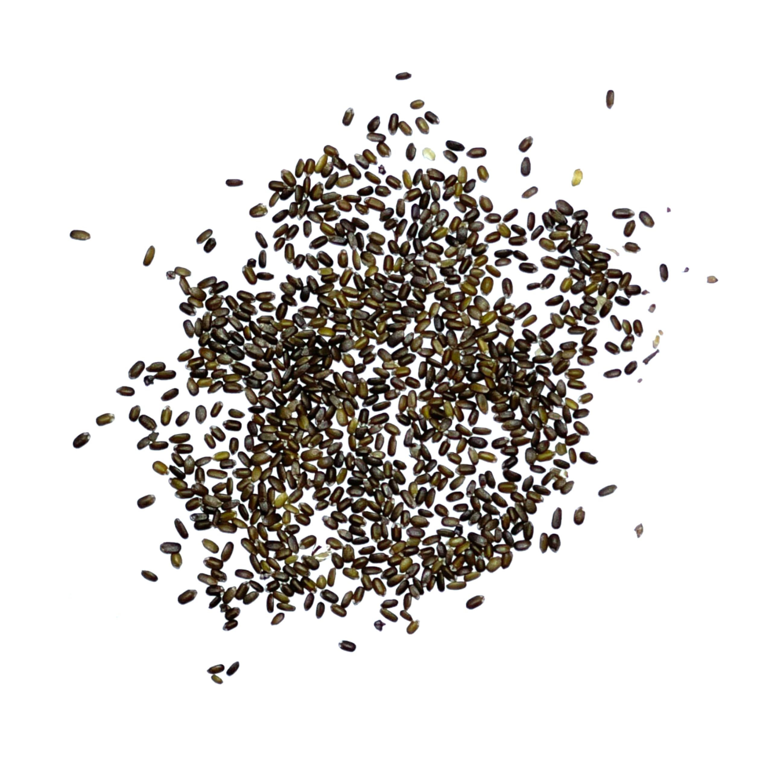 Seed Needs Bee Balm is drought-tolerant for low-water landscaping needs.