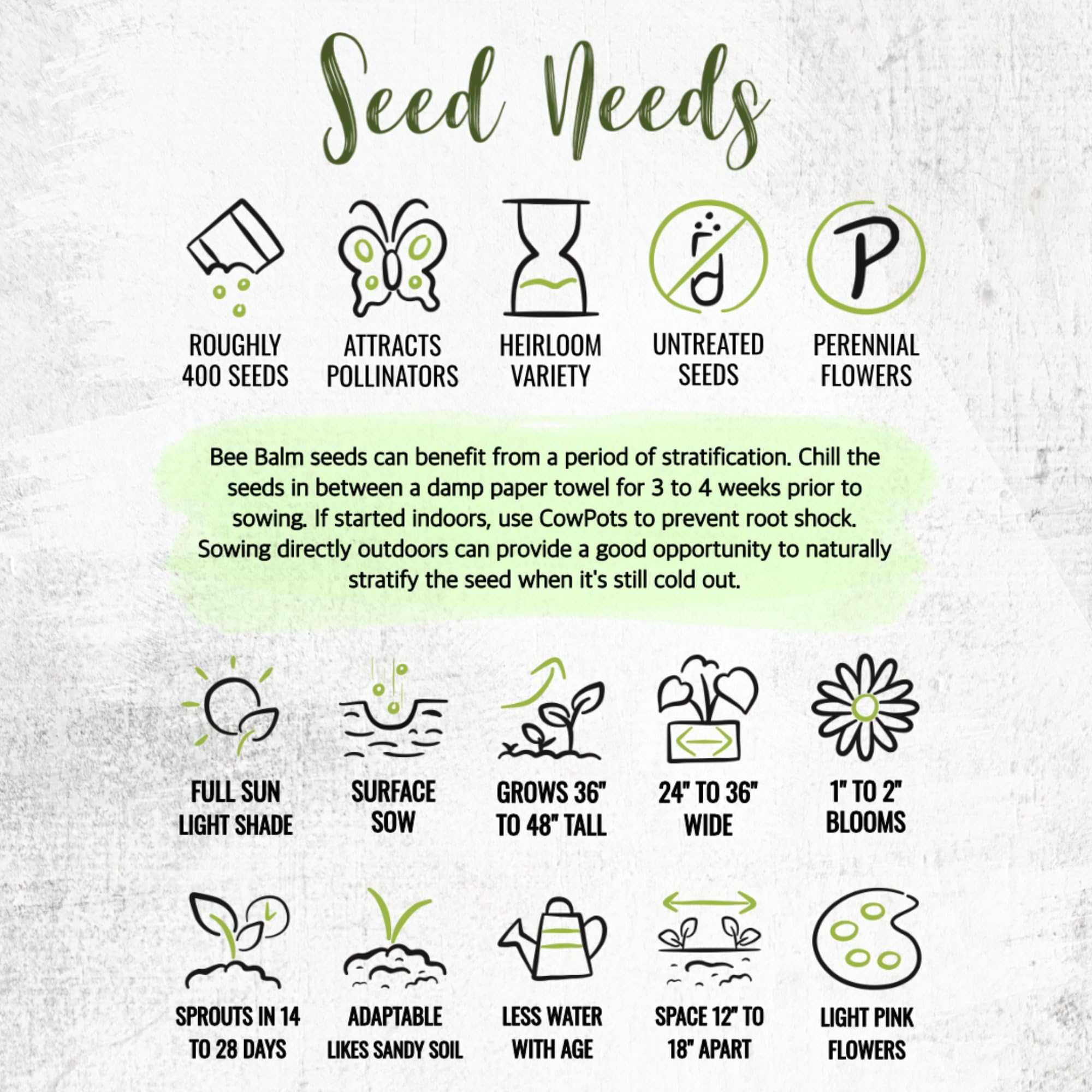 Seed Needs Bee Balm packet emphasizes freshness and sowing guidance.