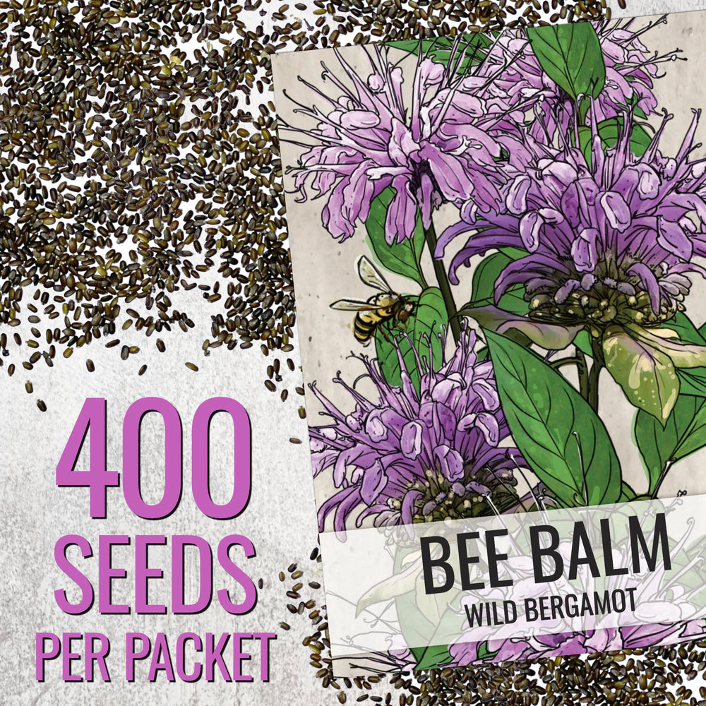 Seed Needs Bee Balm seeds show a pollinator-friendly garden setup.